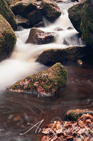 Water-5