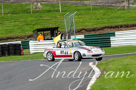 cadwell-36