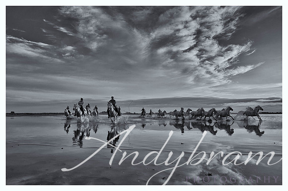 DSC_0623-Edit