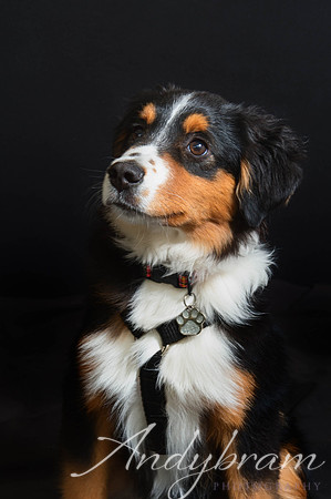 DSC_2190-Edit