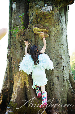 Cross Family-10