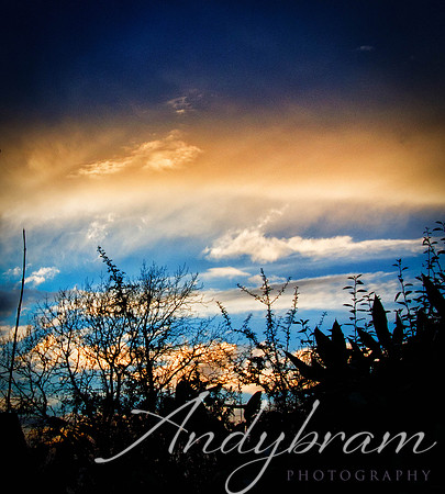 DSC_0558-Edit-Edit