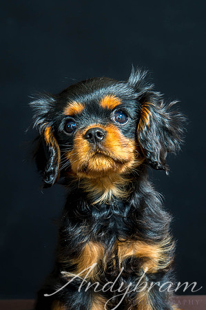 DSC_2400-Edit