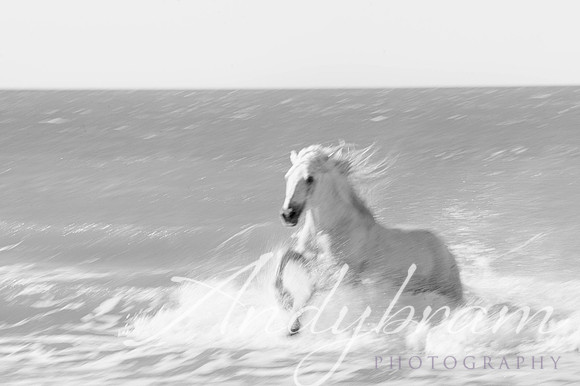 DSC_0090-Edit