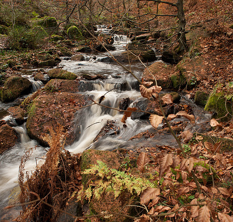 Water-3