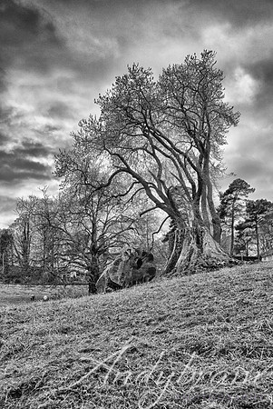 DSC_0529-Edit-Edit