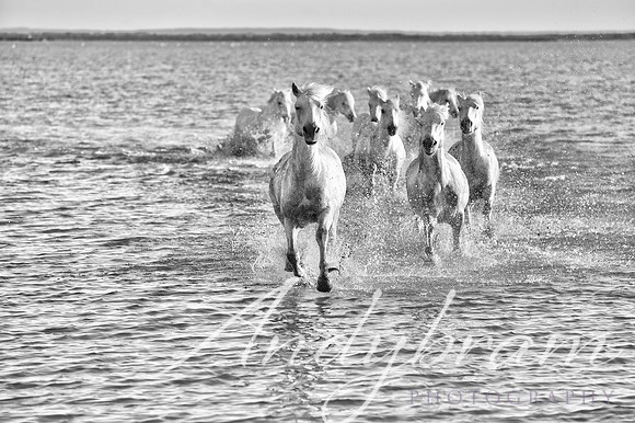 DSC_9212-Edit