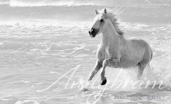 DSC_0048-Edit