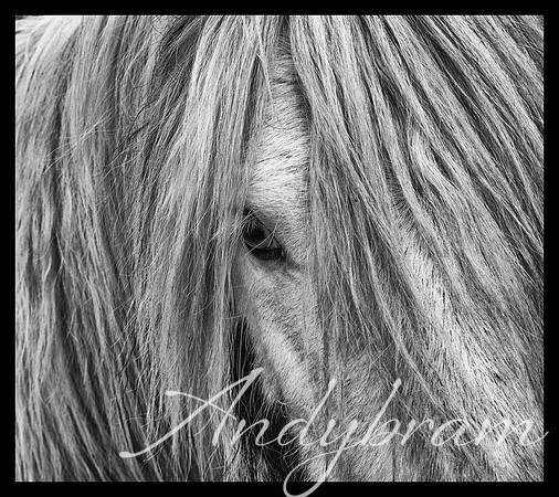 DSC_0566-Edit