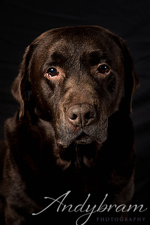 DSC_3260-Edit
