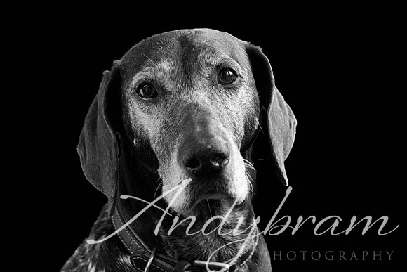 DSC_8745-Edit-Edit