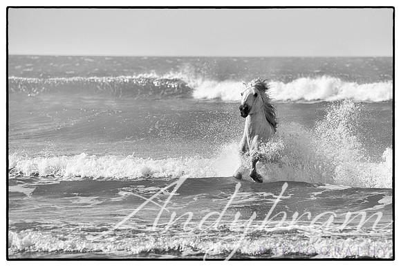 DSC_0057-Edit