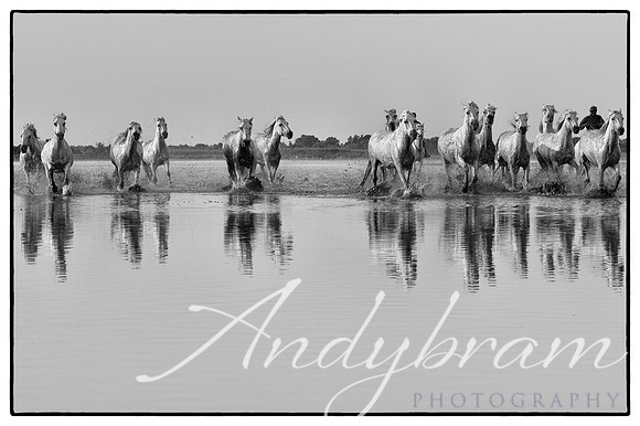 DSC_0403-Edit
