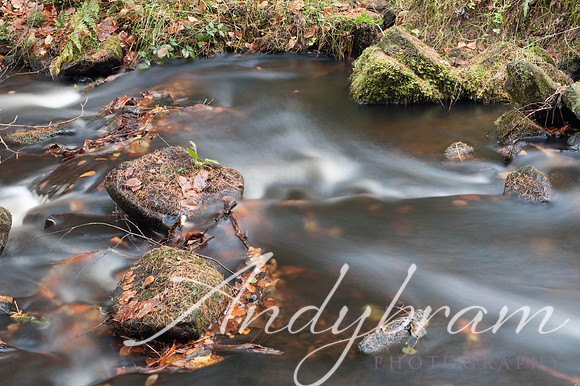 Water-2