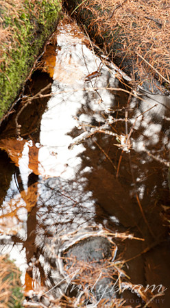 Water-12