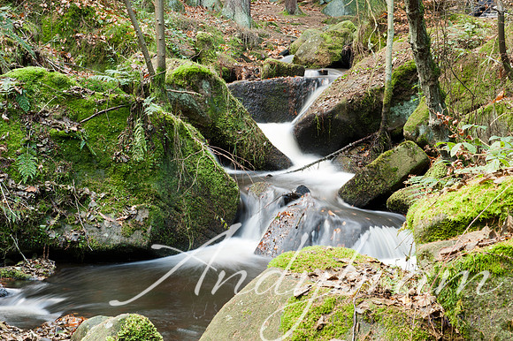 Water-8