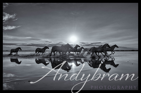 DSC_0639-Edit-2