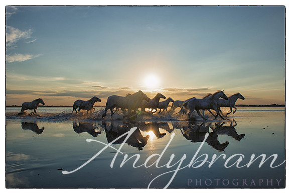 DSC_0639-Edit