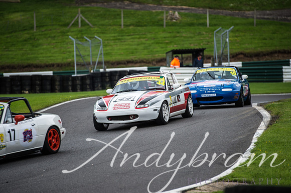 cadwell-31