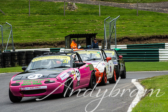 cadwell-44