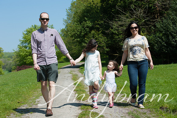 Cross Family-2