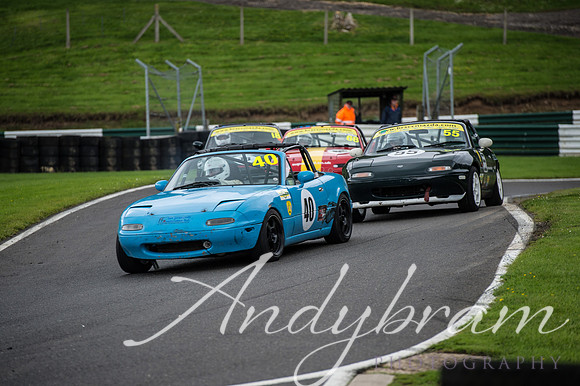 cadwell-34