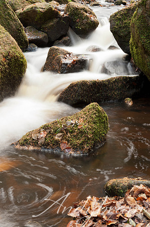 Water-4