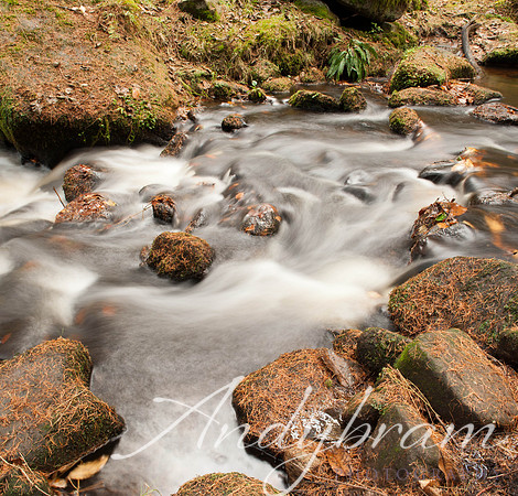 Water-10