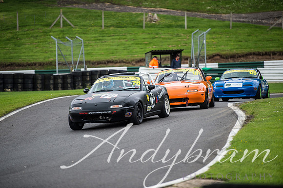 cadwell-33