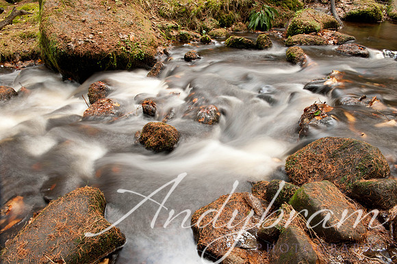 Water-11